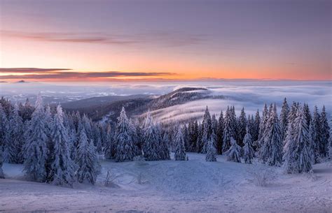 Winter Fotowettbewerb Bayerischer Wald Im Bayerischen Wald