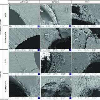 Representative Scanning Electron Microscope Images Showing Failure