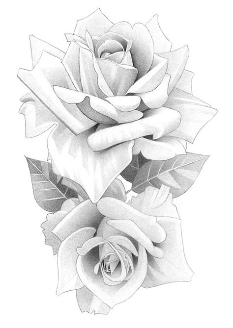 Rose Roses Flower Floral Botanical Original A4 Pencil Drawing Art In 2024 Flower Drawing Rose