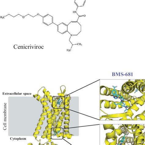 Structures Of Cxcr Antagonists And Their Mechanisms Of Action A