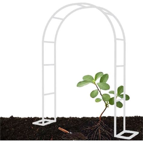 Arche De Jardin En Acier Arceau Roses Trahoo Id Al Pour Plantes