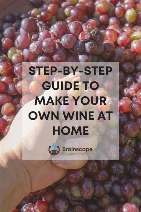 How To Make Your Own Wine At Home Homemade Wine Recipes Making Wine