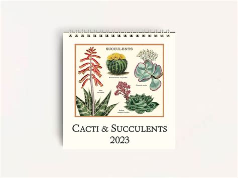 Cavallini Folders Sale Nearby 1