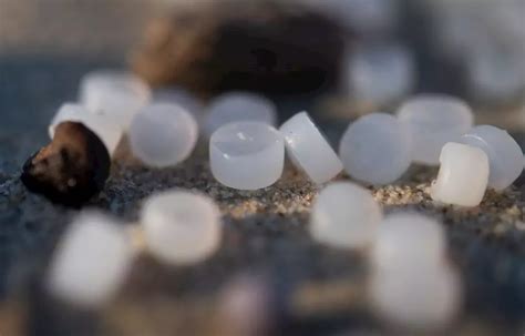 R Apparition Des Billes De Plastique Sur Les Plages De La C Te