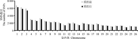 SNP芯片评估柯尔克孜羊群体遗传多样性和遗传结构