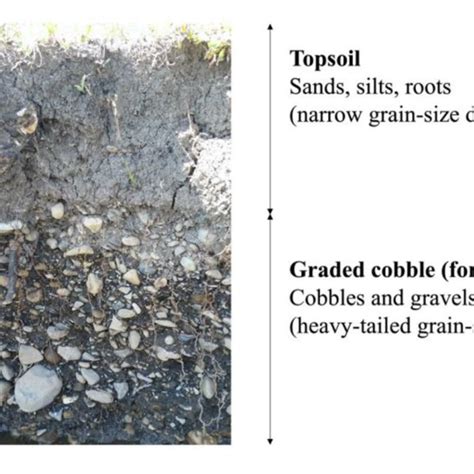 | Exposed floodplain cross-section used to inform model parameters ...