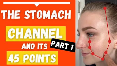 The Stomach Channel Meridian Acupuncture Points Location Functions