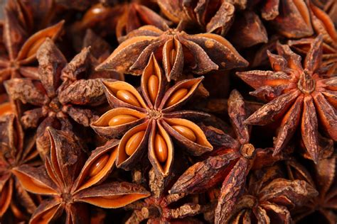 Lion Heart Herb Of The Month Star Anise