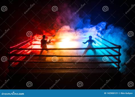 Blurred Background Mma Fight Octagon Stage Ring Extreme Sport Mixed