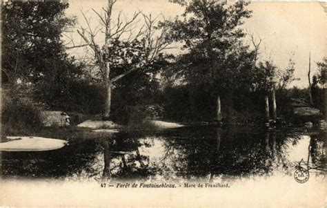 Foret de Fontainebleau Mare de Franchard à Fontainebleau Cartorum