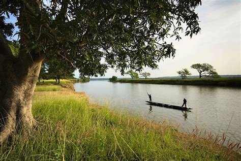 Guinea travel | Africa - Lonely Planet