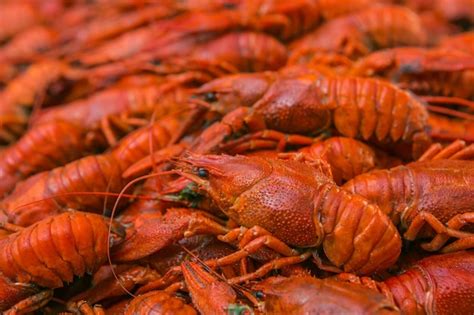 Premium Photo Cancers Boiled Red Crawfish Crawfish Ready To Eat Beer