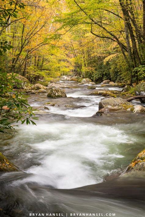 Big Creek In Fall Smoky Mountains By Bryan Hansel Big Creek Time Of