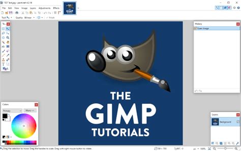 GIMP Vs Paint NET Which One Is Best Detailed Comparison