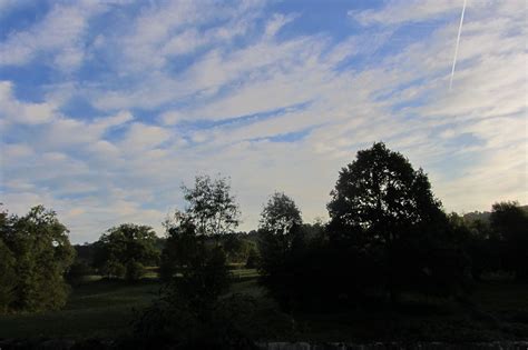 Jakobus H Gel Wolken Wald B Ume Bernd Brang Flickr