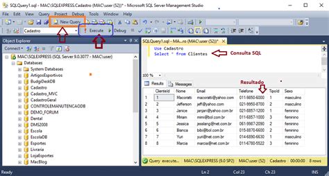 Sql Server Realizando Consultas Sql