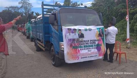 Halmahera Barat Bupati Halmahera Barat Ingin Kembangkan Sentra Jagung