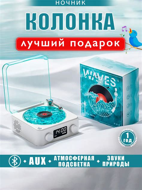 Riclend Колонка блютуз беспроводная, виниловый проигрыватель ...