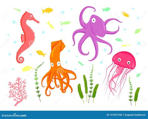 Zeichensatz Von Vektor Illustration Flache Caroon Seeporse Oktopus