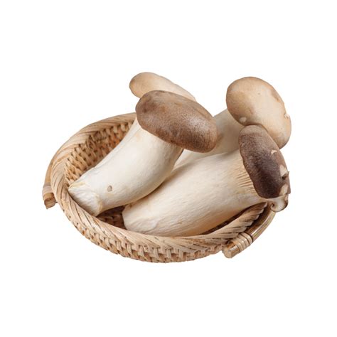 Mushking King Oyster Mushroom 400g Gomaps