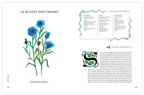 Grimoire D Une Cueilleuse Annuaire Vert