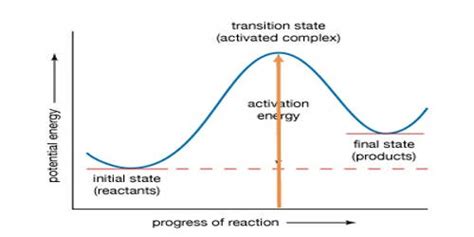 Activation Energy - Assignment Point