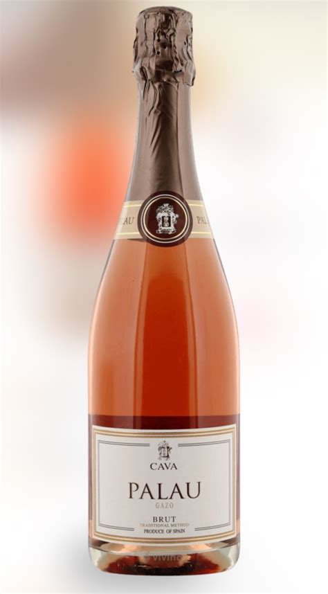 Вино игристое розовое полусухое Palau Cava Gazo Rosè Brut | отзывы