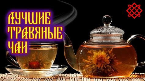 ЛУЧШИЕ ТРАВЯНЫЕ ЧАИ НА КАЖДЫЙ ДЕНЬ. Какие Травы Можно Пить Вместо Чая ...