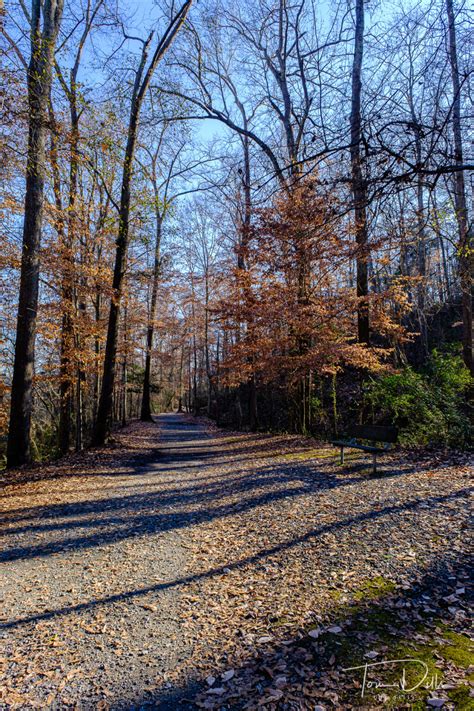 Mount Holly Trail at Mountain Island Park | Tom Dills Photography Blog