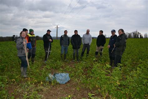 Avancer En Groupe Sur La Conduite Des Cultures Journal Paysan Breton