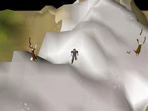 File:Hot cold clue - Ice Mountain.png - OSRS Wiki