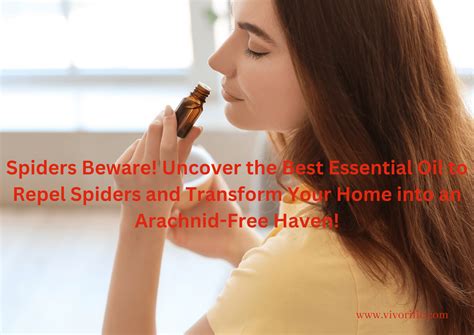 Spiders Beware Uncover The Best Essential Oil To Repel Spiders And