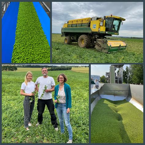 Lieferant Innenbesuche Mit Frosta Landwirtschaftliche Produzent Innen