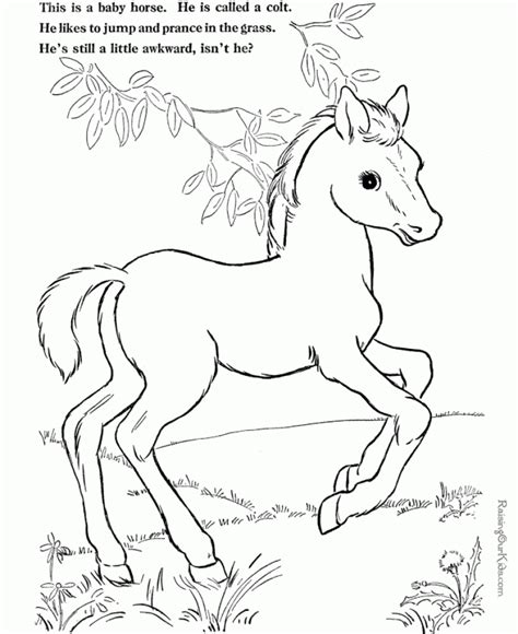 Printable Farm Animal Coloring Sheets Coloring Pages