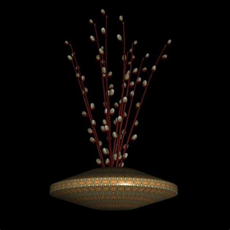 Pussywillow Pussy Willow Ds