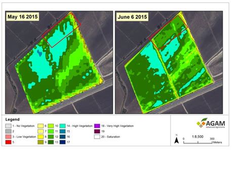 Remote Sensing for Optimization in Agriculture - Israel Agricultural ...