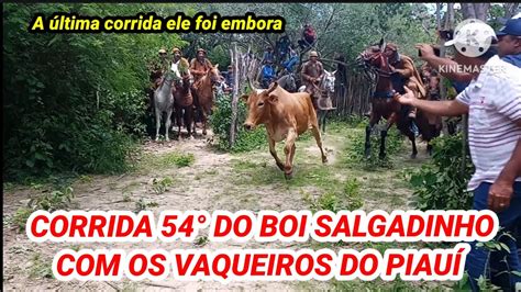 Ltima Corrida Do Boi Salgadinho Os Vaqueiros Do Piau Youtube