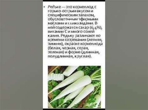 Редька очень горькая ; ) - YouTube