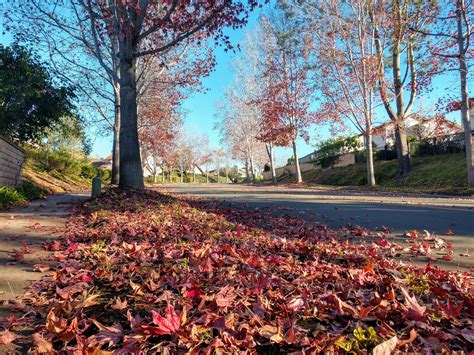 Best Carmel Images On Pholder Earth Porn Room Porn And Food