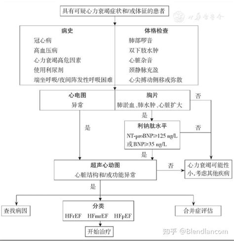 中国心力衰竭诊断和治疗指南2018 知乎