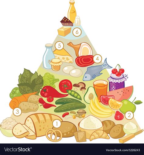 Omnivore Food Pyramid Stock Vector Yurumi | The Best Porn Website