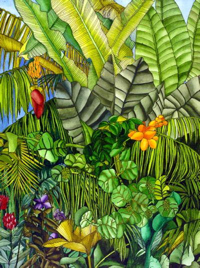Rainforest Watercolor At Explore Collection Of Rainforest Watercolor At Explore Collection Of