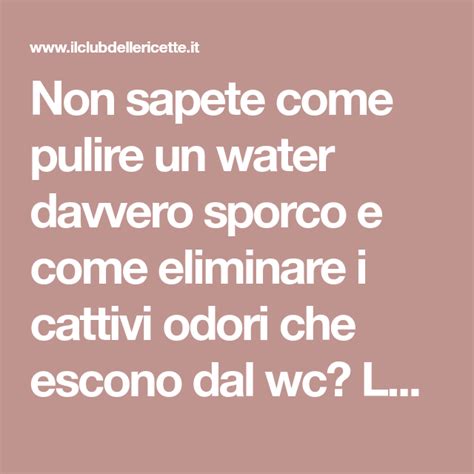 Non Sapete Come Pulire Un Water Davvero Sporco E Come Eliminare I