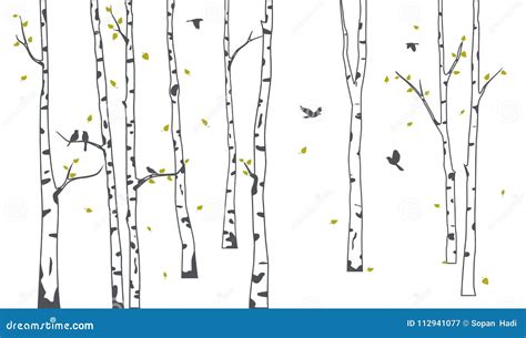 Birch Tree Silhouette Vector Illustration | CartoonDealer.com #70802024