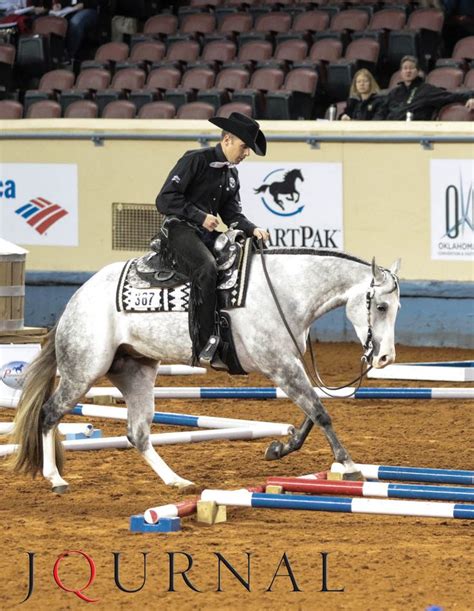 174 best AQHA World Show images on Pinterest | American quarter horses, Champion and Quarter horses