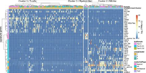 Heatmap Showing The Expression Levels Of Important Differentially Download Scientific Diagram