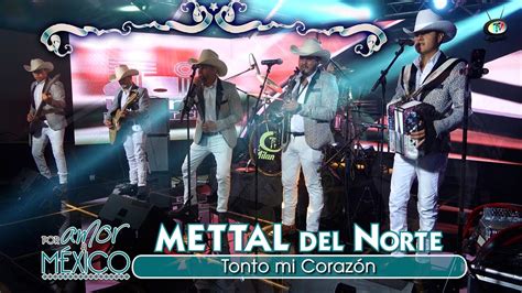 Mettal Del Norte Tonto Mi Coraz N Video Oficial Youtube