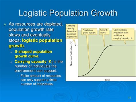 Ppt Population Growth Powerpoint Presentation Free Download Id 3787320