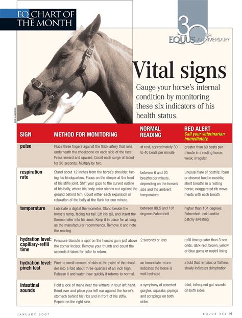 Equus chart gauge your horse s vital signs – Artofit