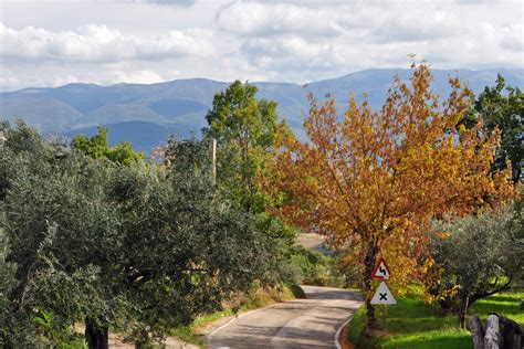 Italy autumn in photos - Revealed Rome